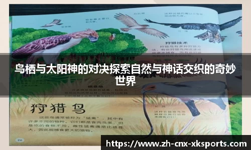 星空体育官网